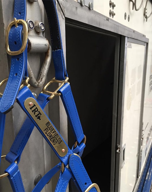 IRT flying horses across the globe for the past five decades....