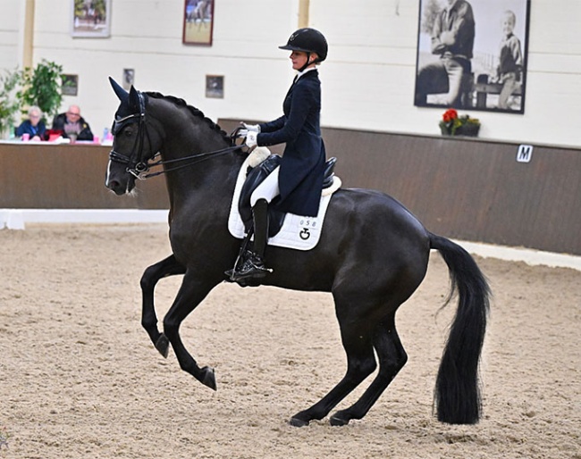 Mia Allegra Lohe and Luxor van de Vrendt at the 2026 CDN Ankum :: Photo © Dirk Ruchel