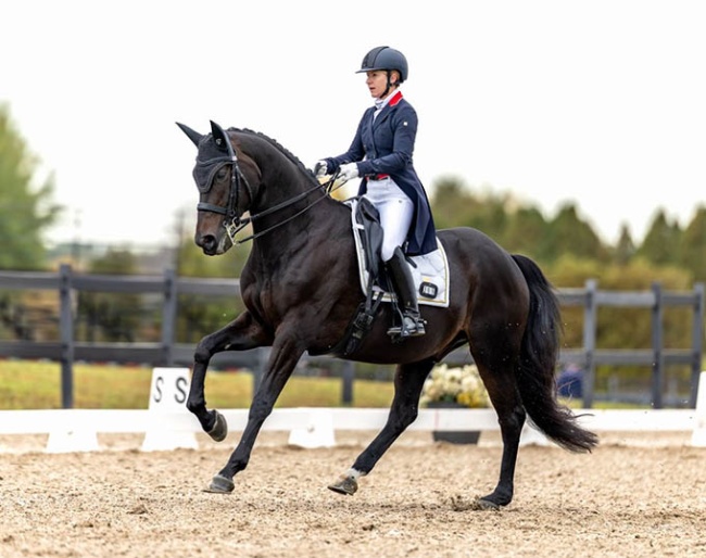 Belinda Trussel (ON) & Diamanten Dave earned a score of 69.130% during the Grand Prix :: Photo © Eve-Lyne Ouellet