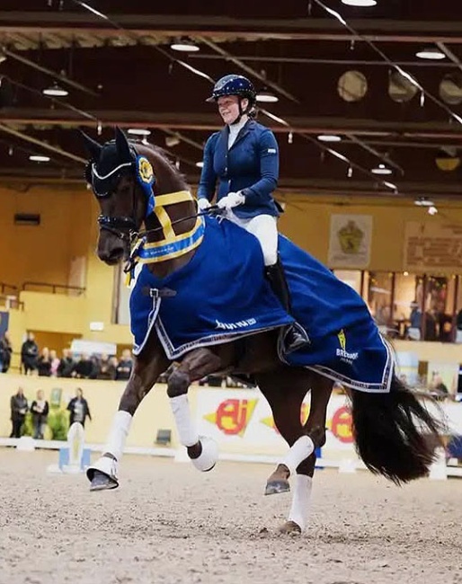 Linn larsson on Ironesse VH at the 2026 Swedish Young Horse Championships :: Photo © Vendela Henriksson