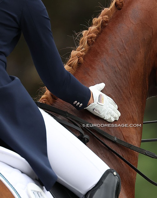 Hand patting horse :: Photo © Astrid Appels