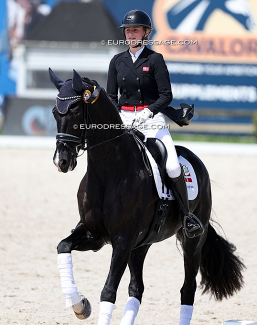 Andrea Hamann Sand Sells Danish Junior Team Horse Blue Hors Victor