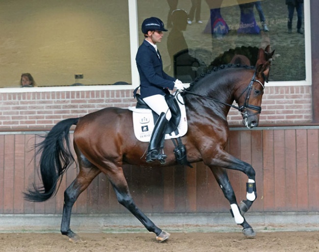Bretagne VDL (by Be Sure x Secret x Totilas), bred by Emma Blundell at Mount St. John stud in the U.K.