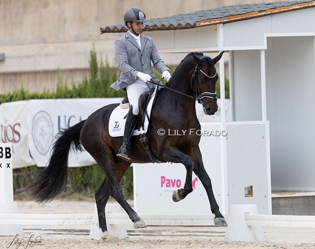 Juan José González de las Cuevas Pimienta and Forsete LVST are the 4-year old champions at the 2026 Spanish Young Horse Championships :: Photo © Lily Forado