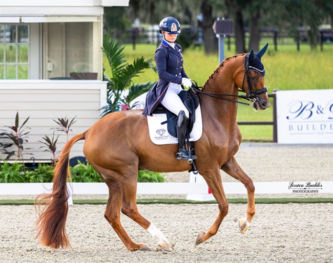 Devon Kane (USA) and Vamos claimed victory in the FEI World Cup™ Grand Prix at Dressage at TerraNova  :: Photo © Jessica Buehler