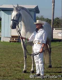 Janne Rumbough with PRE stallion Gaucho