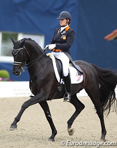 Dana van Lierop on Sting at the 2013 CDIO-PJYR Hagen :: Photo © Astrid Appels