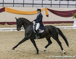 Uwe Schwanz on Di Sandro at the 2014 CDI Kaposvar :: Photo © Lukasz Kowalski