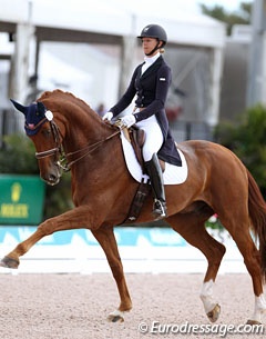 Blitz and Paragon Withdraw from 2014 World Equestrian Games Team Selection