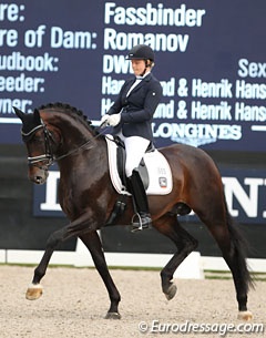 Sir Olli at the 2016 World Young Horse Championships :: Photo © Astrid Appels