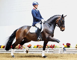 Quasi Royale :: Photo © Tammo Ernst