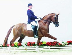 Royal Olymp :: Photo © Tammo Ernst