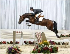 Lassandro :: Photo © Tammo Ernst