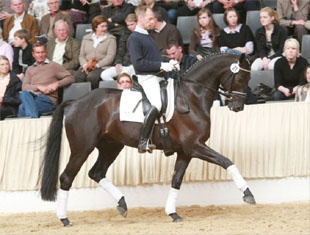 Sirius Black :: Photo © Tammo Ernst