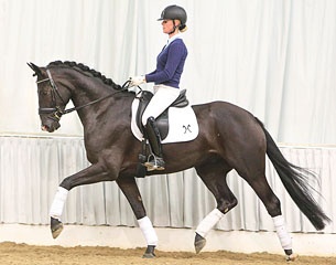 Sir Moritz :: Photo © Tammo Ernst